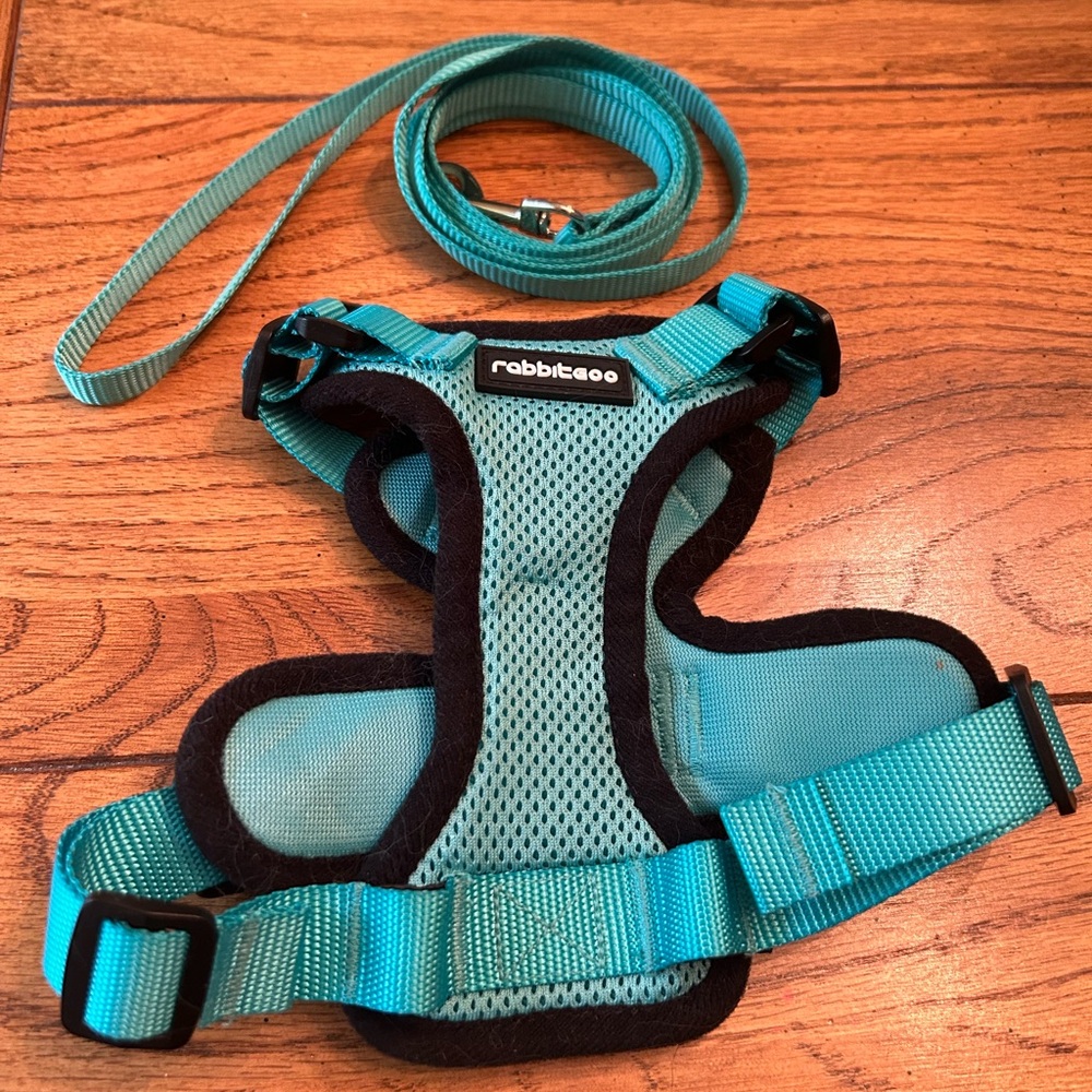 Great new condition for small dog or cat ,harness with lead